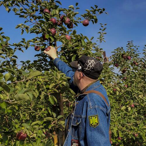 Afton Apple Orchard No. 04