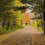Gooseberry Falls State Park: Paved Walking Path