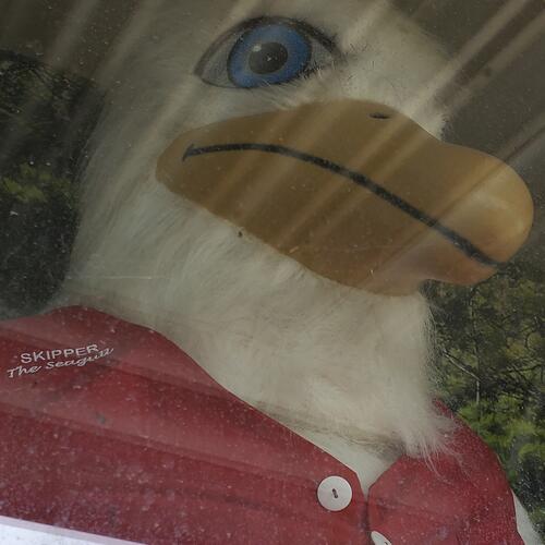 Grand Marais: Skipper the Seagull