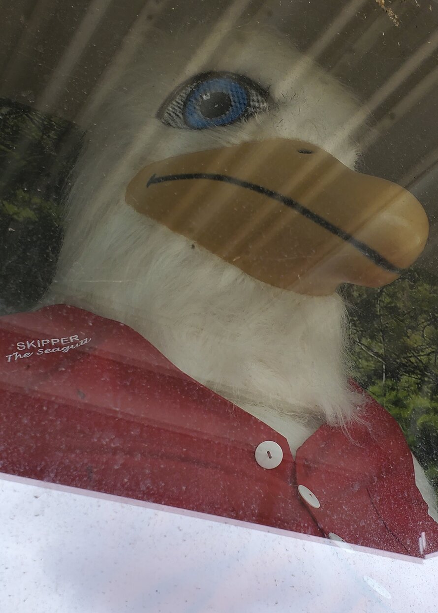 Grand Marais: Skipper the Seagull